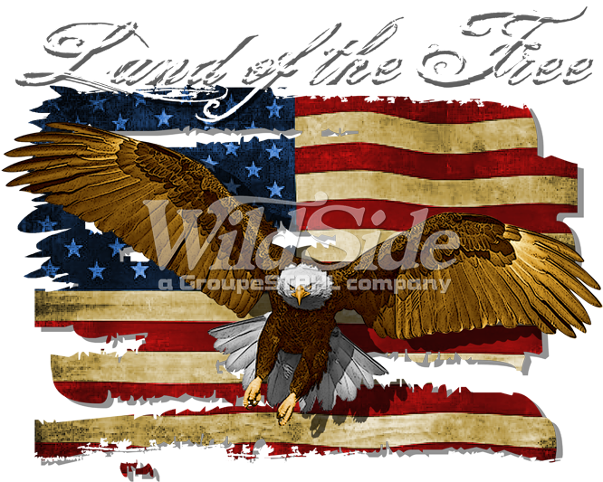 Land Of The Free - T-shirt (675x675), Png Download