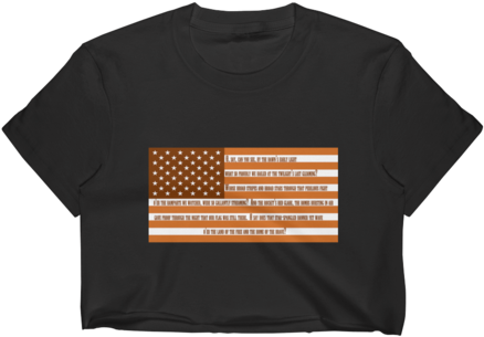 Austin Star Spangled Banner Us Flag Women's Crop Top - American Flag (480x480), Png Download