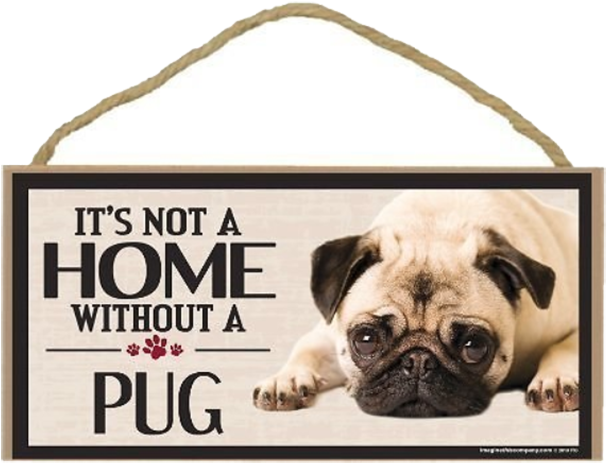 Imagine This Company's “it's Not A Home Without” Pug - Real Dog Pitbull Coloring Pages (800x652), Png Download