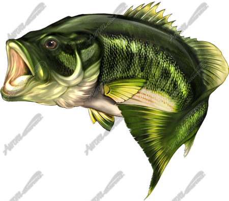 Largemouth Bass - Largemouth Bass Rebel Flag (450x395), Png Download