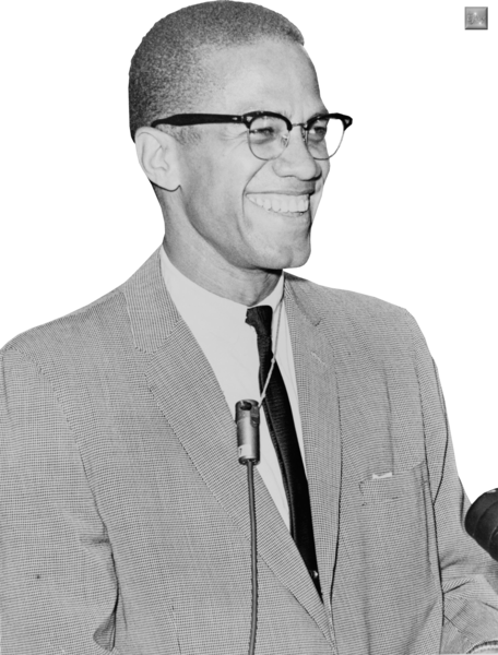 Share This Image - Malcolm X (456x600), Png Download