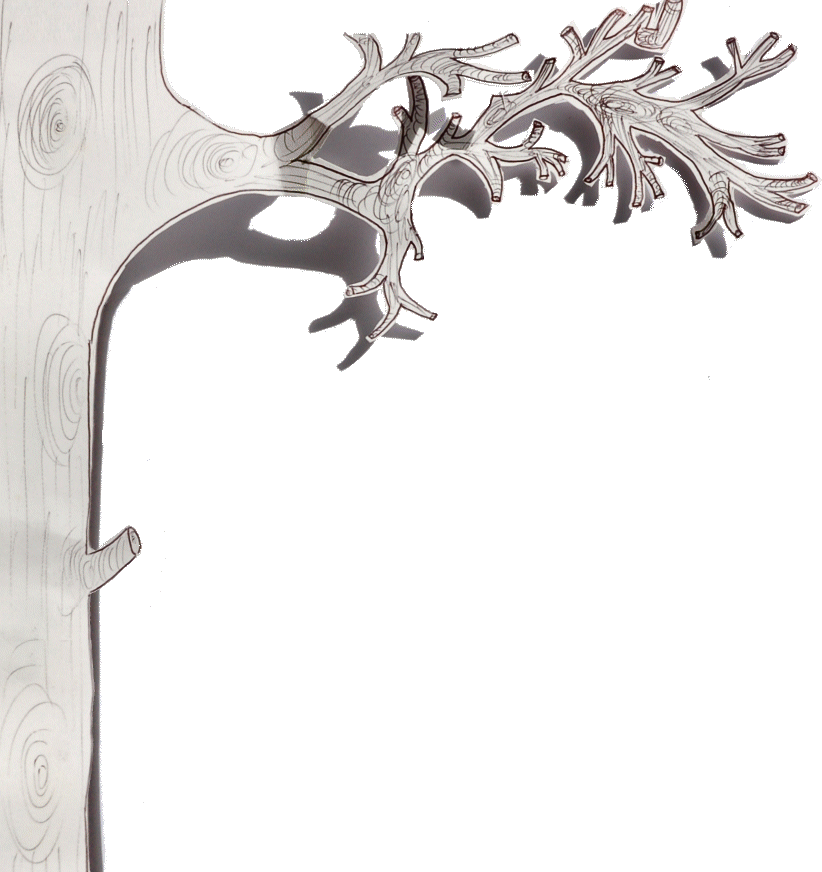 Pharmacy (822x872), Png Download