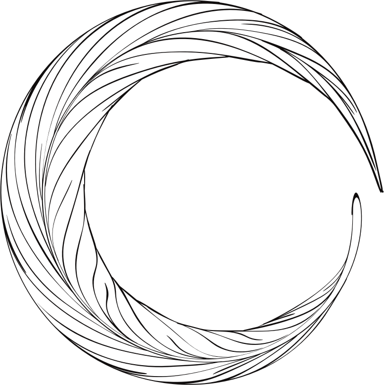 Medium Image - Circle Feathers Clipart (776x778), Png Download