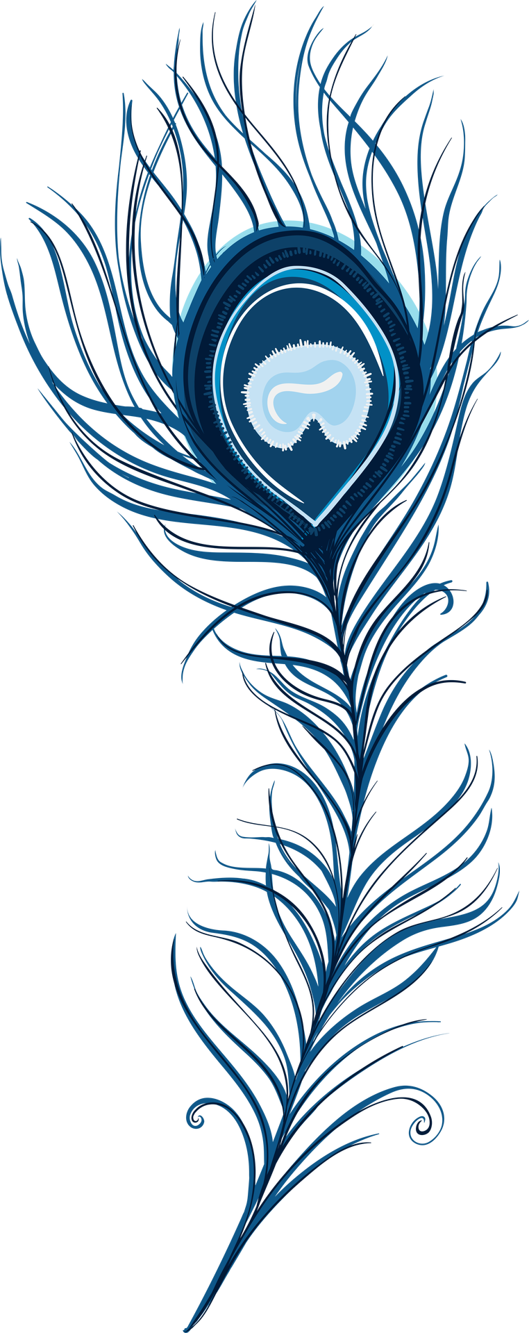 Peacock Feather, Top Mob - Peacock Feather Clip Art Png (762x1919), Png Download