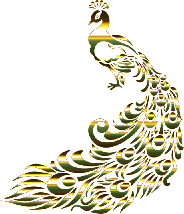 Peafowl Bird Feather Drawing - Peacock Gold Transparent Background (644x750), Png Download