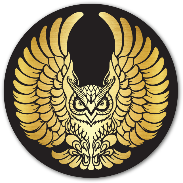 Sticker Pack - Vanossgaming Owl Logo (1000x1000), Png Download