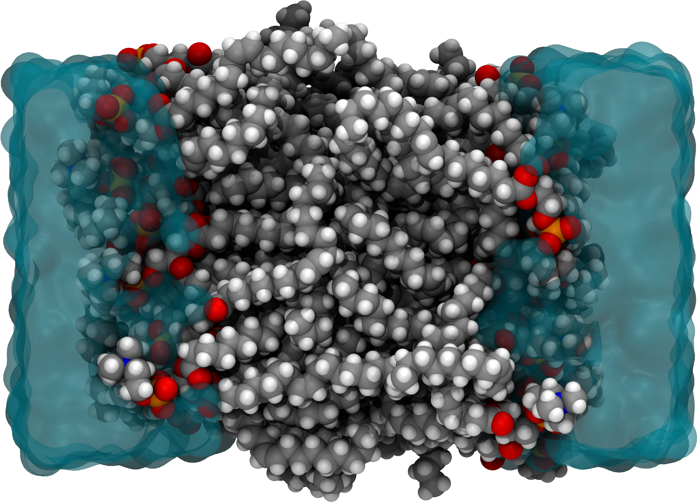 Molecular Model Of A Cell Membrane , Which Is A Representative - Craft (2700x1800), Png Download