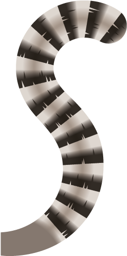 Lemur Tail Png - Northern Seahorse (1600x1600), Png Download