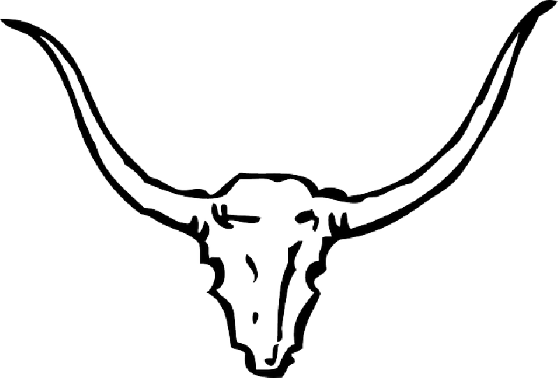 Boer Goat Head Drawing - Horns Clipart Black And White (800x542), Png Download