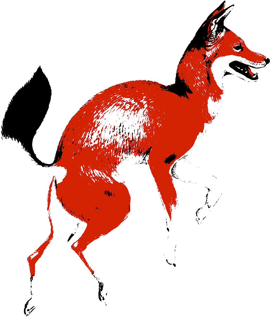 Red Fox Coffee Merchants (1000x1179), Png Download