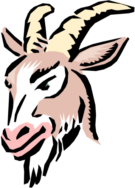 Clip Free Library Cartoon Billy Image Illustration - Kepala Kambing Vektor Png (556x700), Png Download