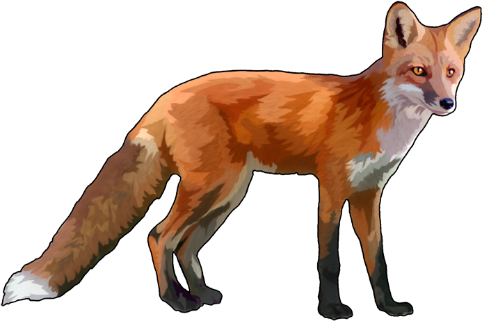 Fox Png - Png Foxes (920x525), Png Download