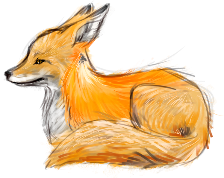 Fox Sketch By Yumenei On Deviantart Picture Library - Fox Drawing (800x595), Png Download