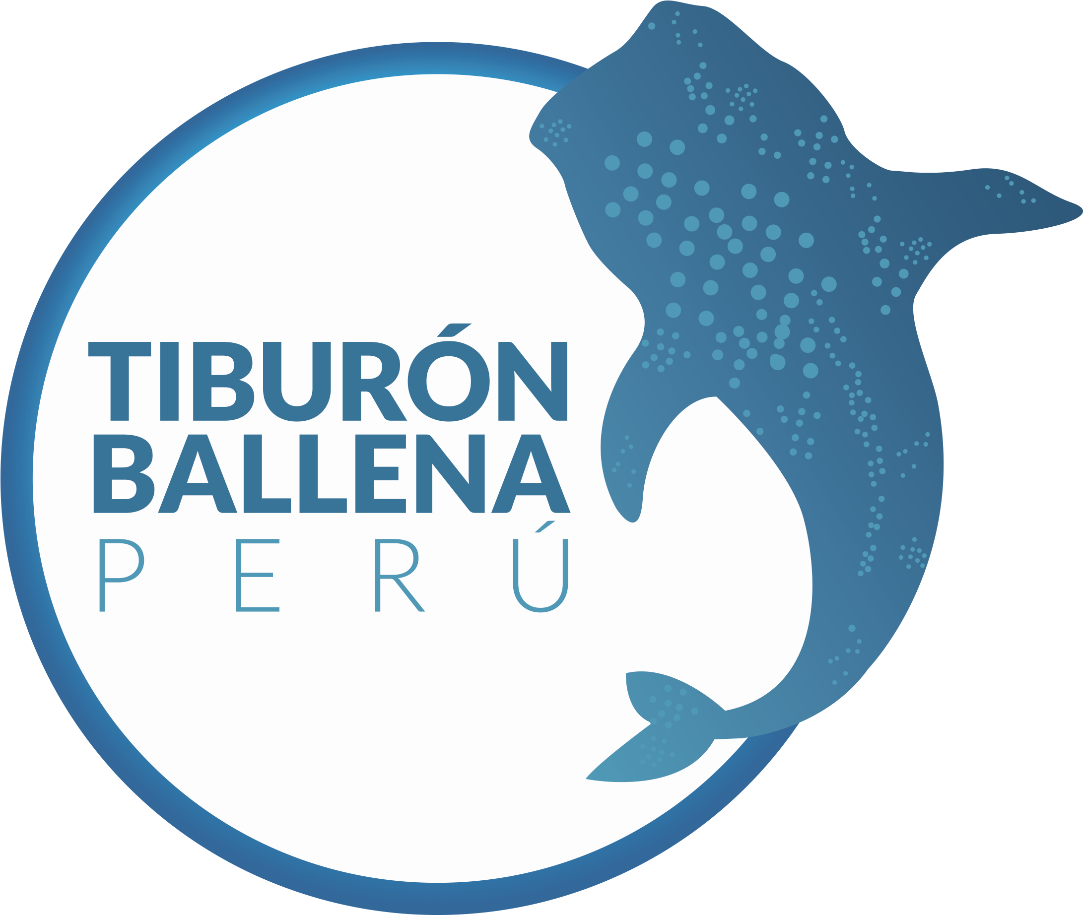 Tiburon Ballena Peru - Marine Invertebrates (2362x1966), Png Download