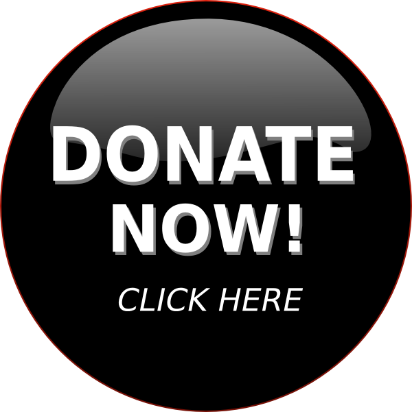 Small - Donate Button Png (600x601), Png Download