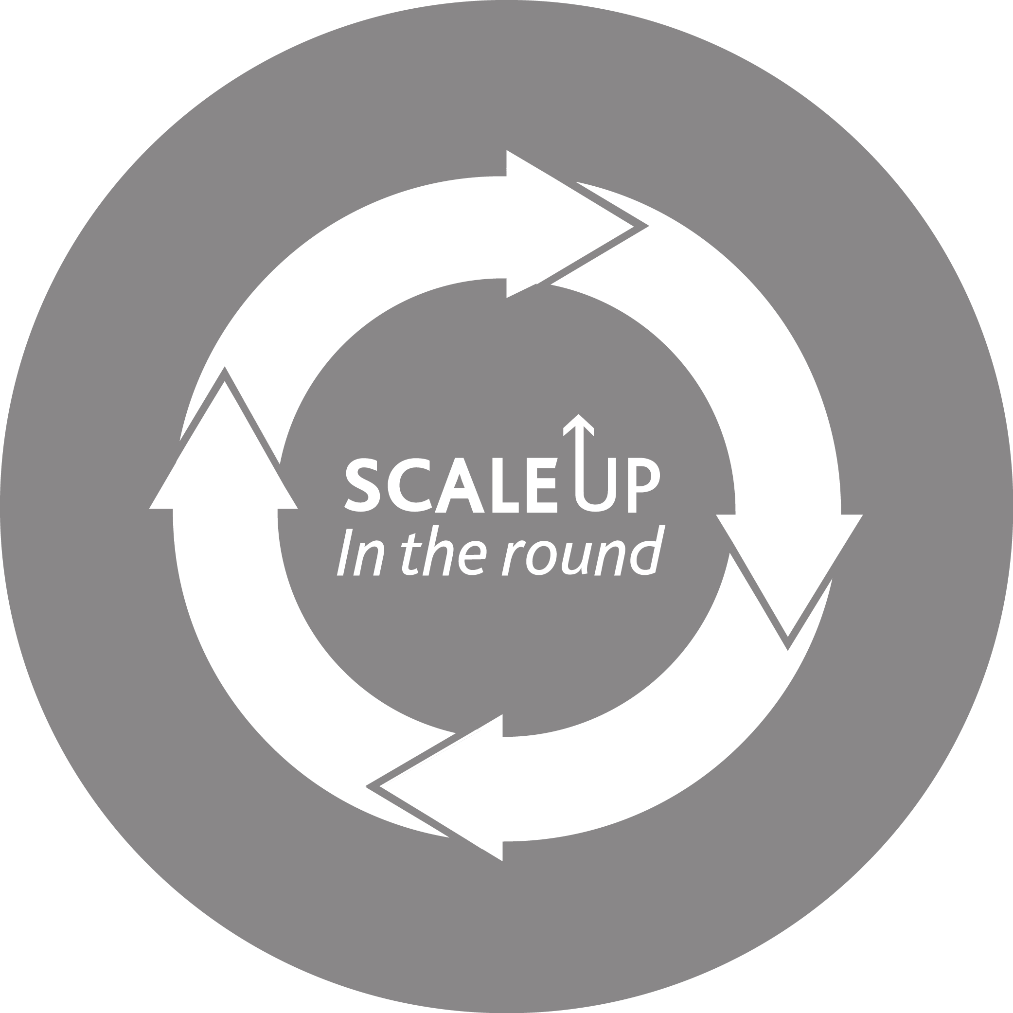 Scale Up In The Round Grey - Risk (2083x2083), Png Download