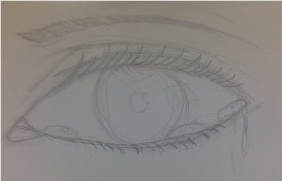 Eyelashes Clipart Watercolor - Library (1024x683), Png Download