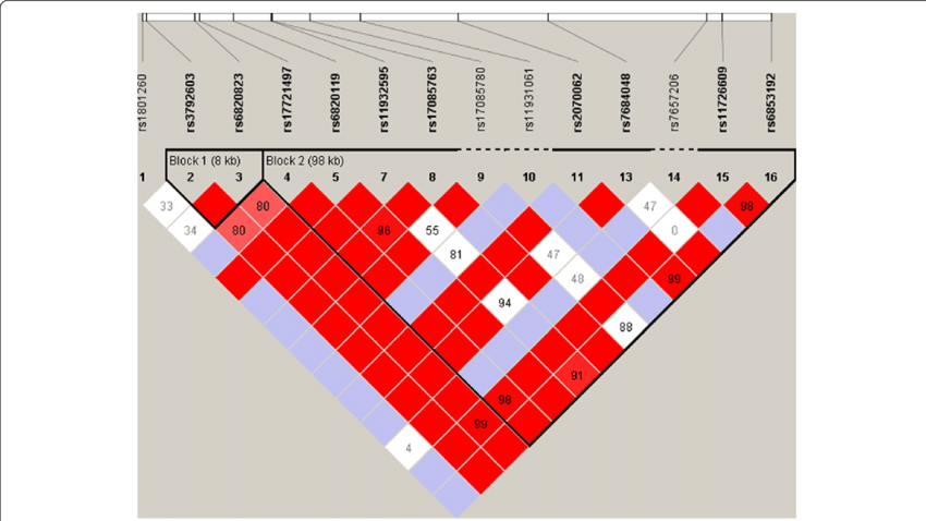 Linkage Disequilibrium Plot Across The Clock Gene - Linkage Disequilibrium (850x478), Png Download