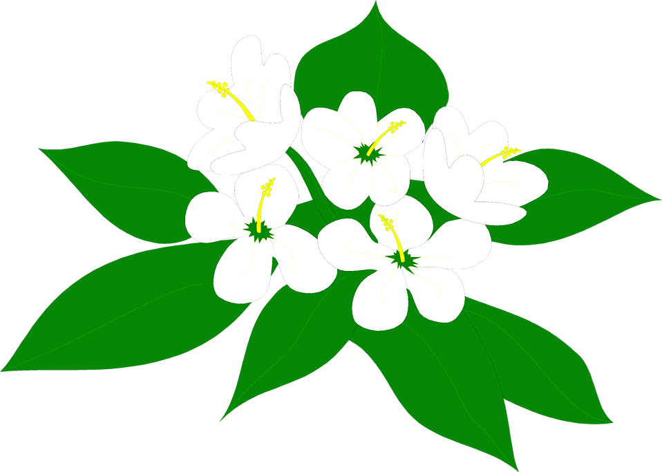 Flowers White - Sampaguita Flower Clipart Png (958x683), Png Download