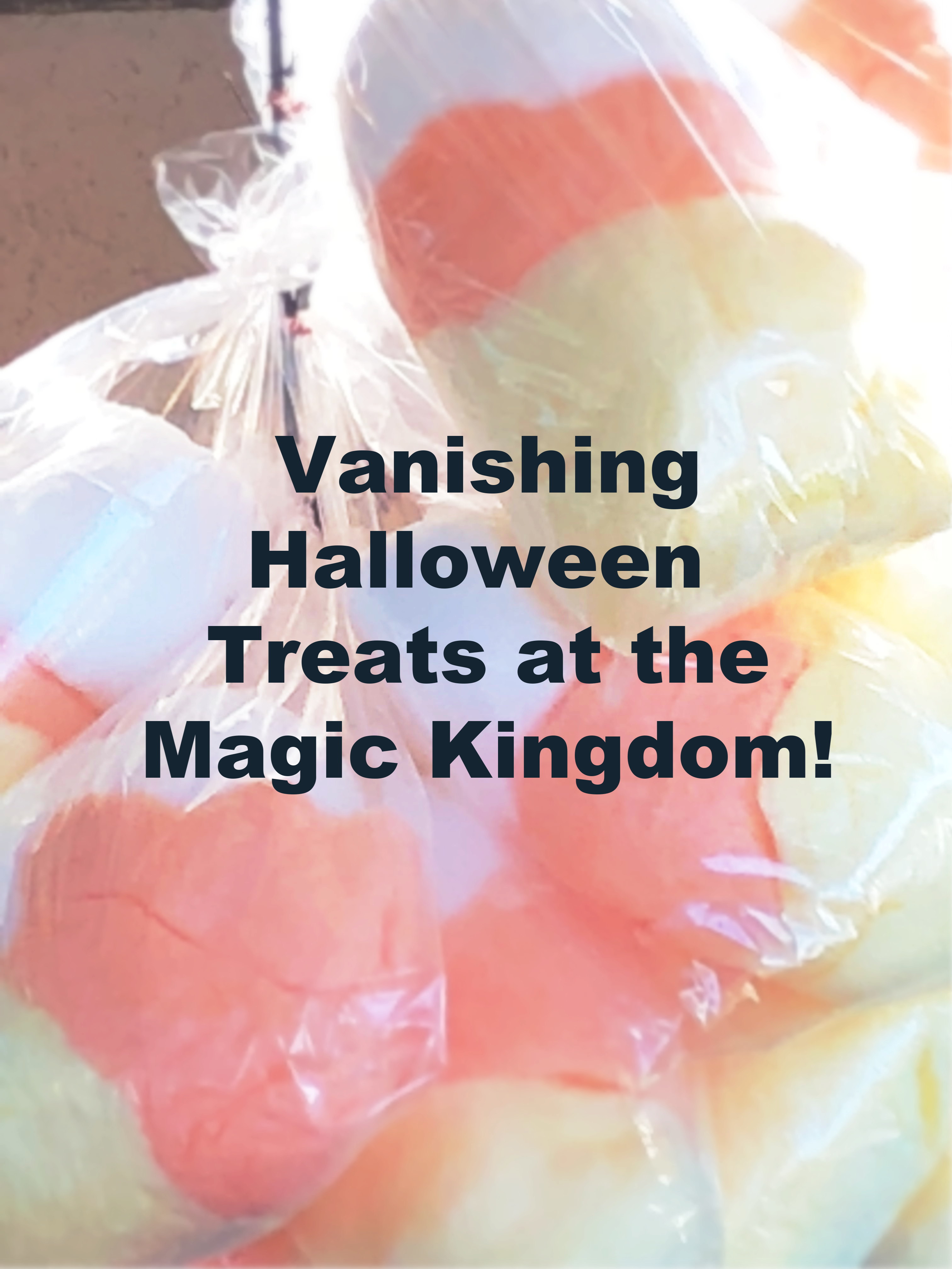 If You Can't Make It To Mickey's Not So Scary Halloween - Travel Agency (3024x4032), Png Download