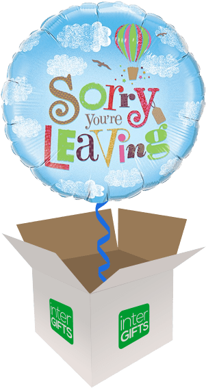 Sorry You're Leaving Air Balloon - Sorry You Re Leaving Balloon (568x568), Png Download