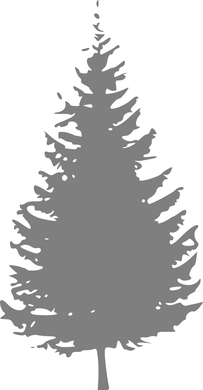 Related Image - White Pine Tree Png (334x640), Png Download