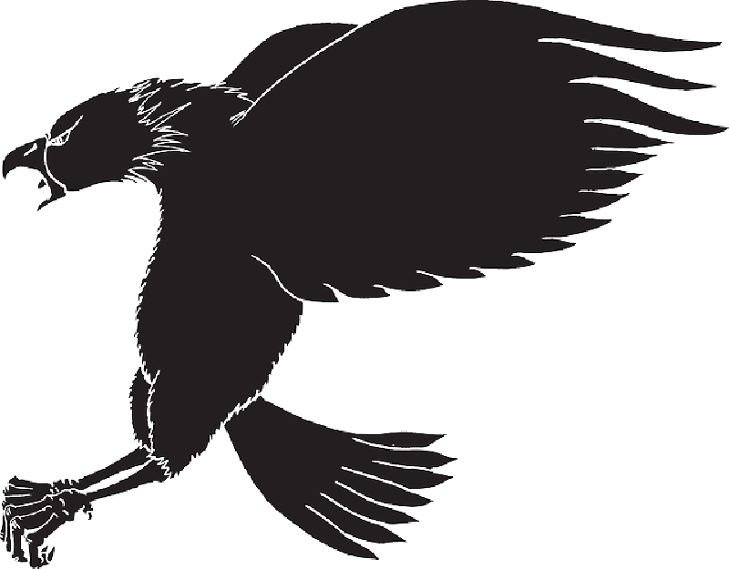 Mb Image/png - Eagle Claw Silhouette (800x625), Png Download
