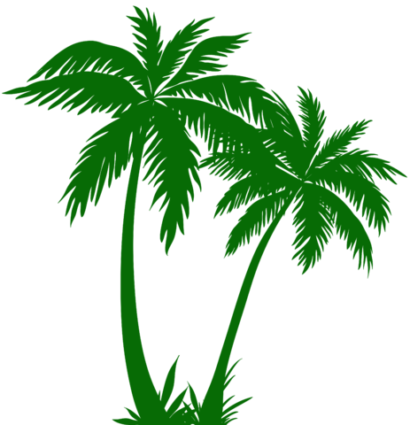 Palm Trees Silhouette Png Clip Art Image - Coconut Tree Pencil Drawing (463x480), Png Download