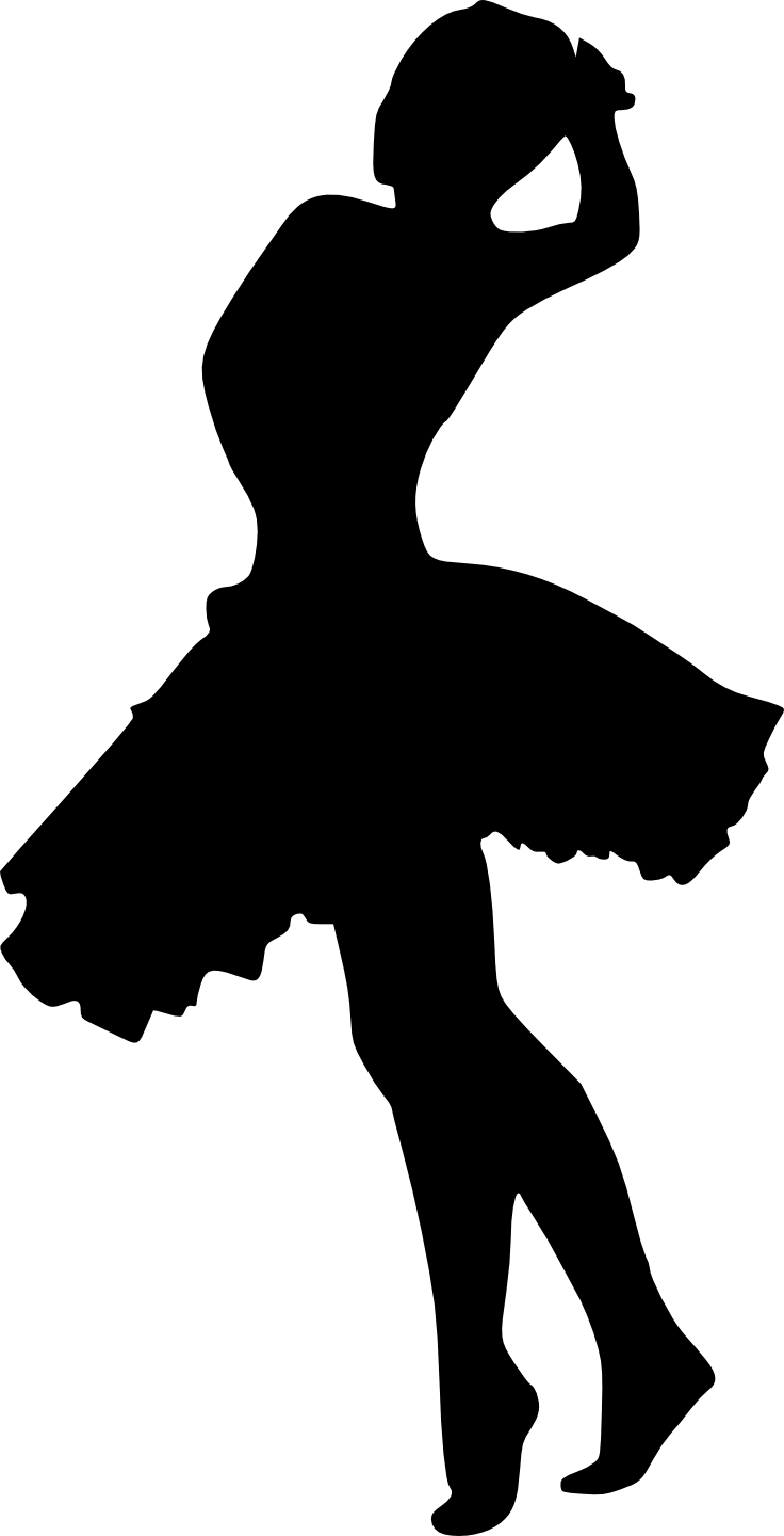 Free Png Ballerina Silhouette Png Images Transparent - Black And White Ballerina Silhouette (480x940), Png Download