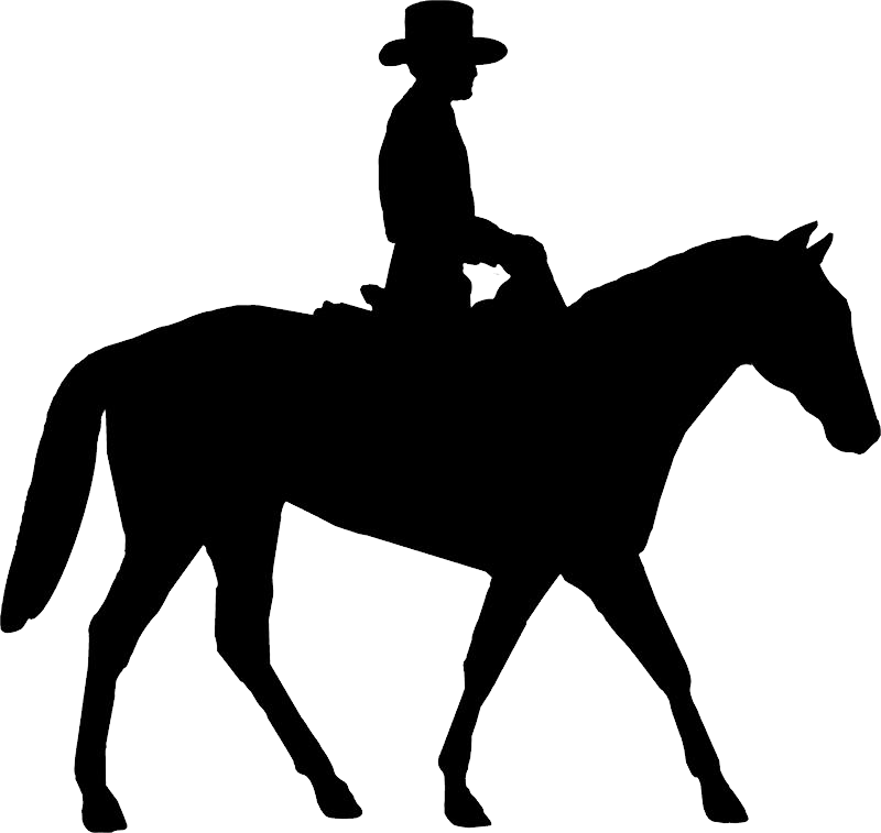 Cowboy Silhouette Png Image - Lady Riding Horse Silhouette (800x757), Png Download