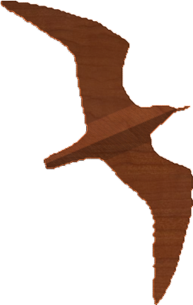 Seagull 01 Silhoette - Albatross (430x430), Png Download
