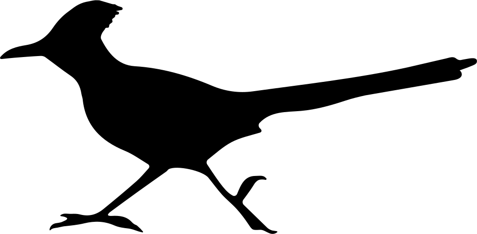 Bird Roadrunner Shape Comments - Roadrunner Png (980x480), Png Download