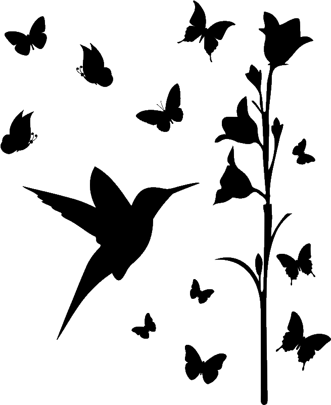 Sticker Colibri Et Nuees De Papillons Ambiance Sticker - Hummingbird And Butterfly Decals (800x800), Png Download