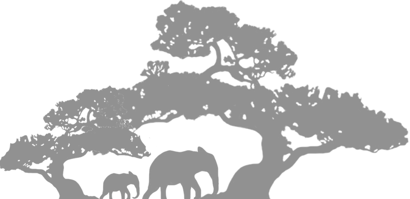 Bonsai Tree Silhouette (800x389), Png Download