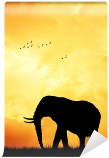 Indian Elephant (400x400), Png Download