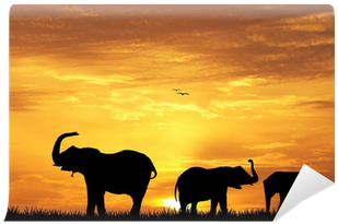 Silhouette (400x400), Png Download