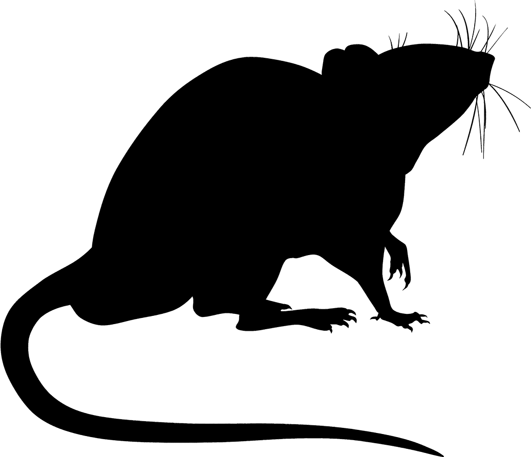 Rodents - Silhouette Of A Rat (1080x1080), Png Download