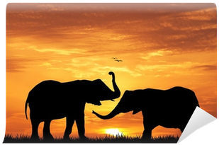 Indian Elephant (400x400), Png Download