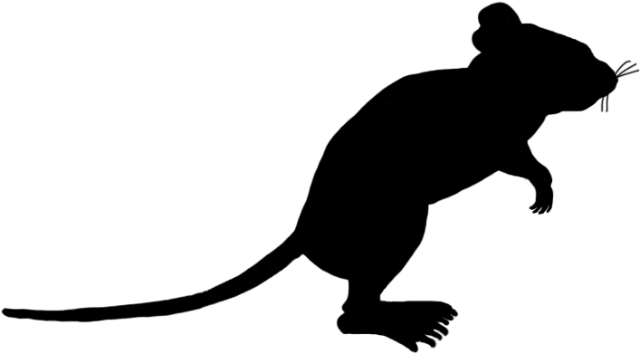 Mouse Silhouette Transparent Background (740x516), Png Download