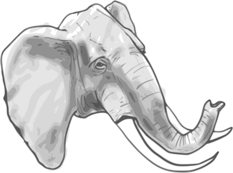 Indian Elephant African Elephant Line Art Drawing Elephants - Custom Elephant Shower Curtain (458x340), Png Download