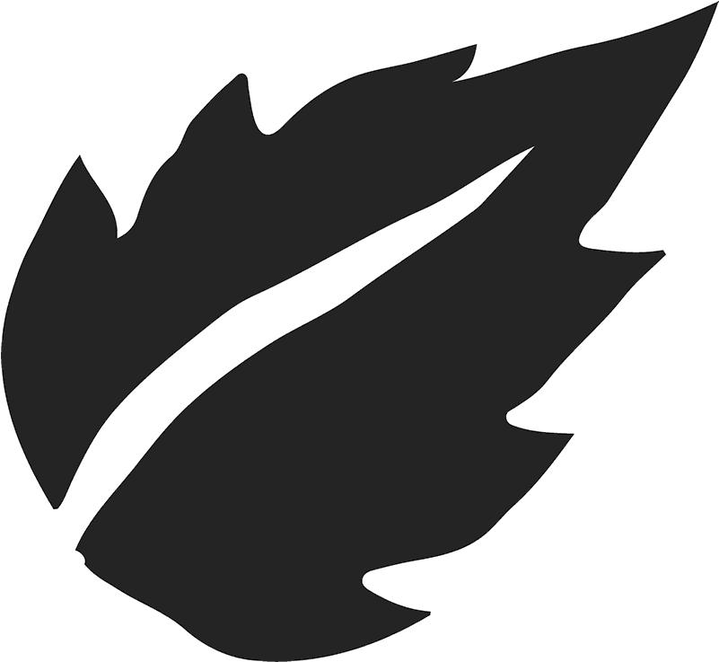 Birch Leaf Silhouette Rubber Stamp - Flower Leaf Silhouette (800x800), Png Download