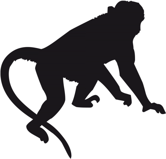 Free Download Orangutan Silhouette Clipart Monkey Orangutan - Monkey Etching (600x600), Png Download