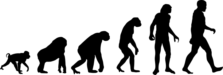 Evolution Human (726x245), Png Download