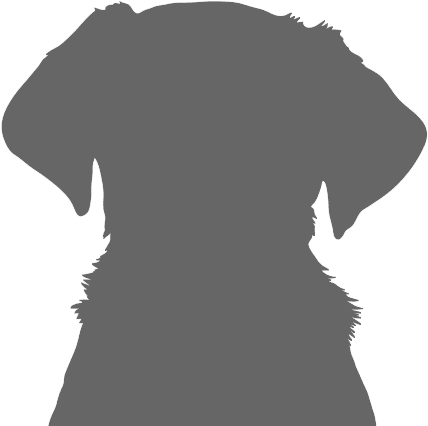 About Ruby Sausage - Puppy Sitting Silhouette (484x484), Png Download