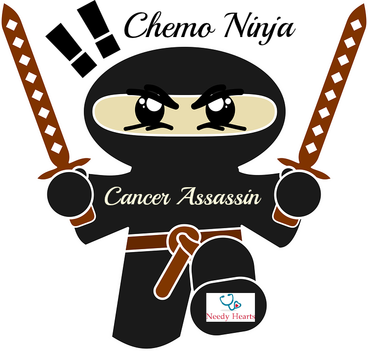 Karate Clipart Ninja - Ninja No Income No Job No Assets (755x720), Png Download