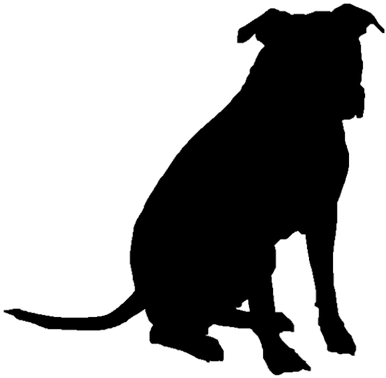 Colmilludo - Veces Duele El Alma (400x400), Png Download