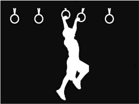 Ninja Rings No Words - American Ninja Warrior Silhouettes (732x386), Png Download