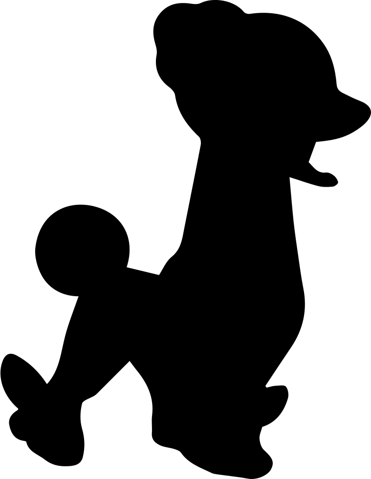 Png File Svg - Dog Catches Something (759x980), Png Download