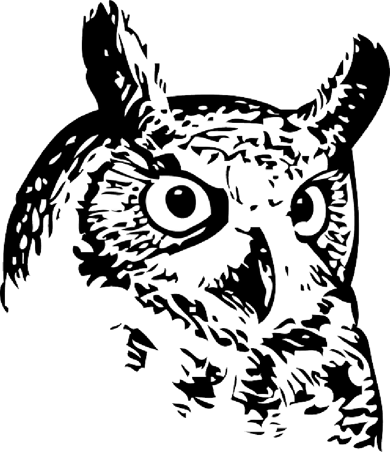 Bird, Eyes, Black, Tribal, Drawing, Silhouette - Owl Post Service Stamp (800x927), Png Download
