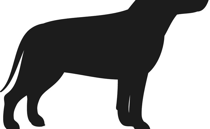 Pitbull Dog Silhouette Com Free For Personal Use - Pit Bull (800x491), Png Download